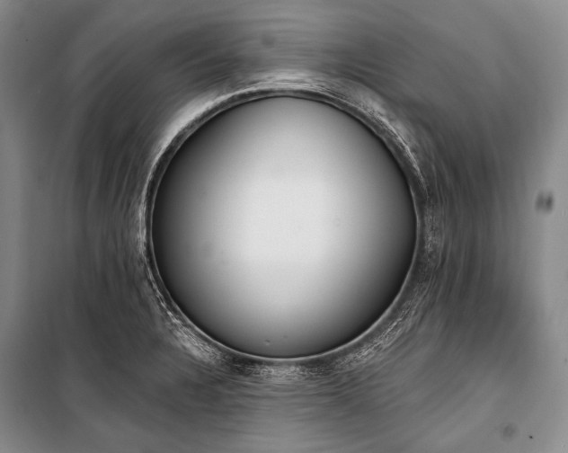 X0000101231328200806271502