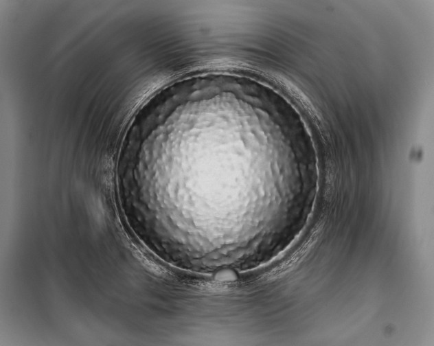 X0000101231329200806271502