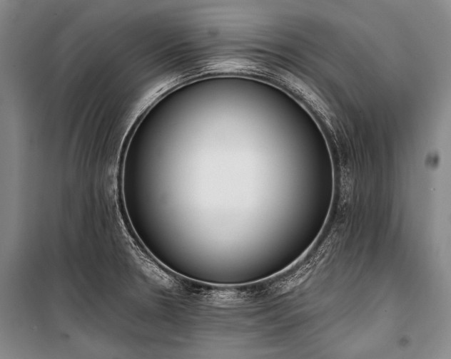 X0000101231330200806271502
