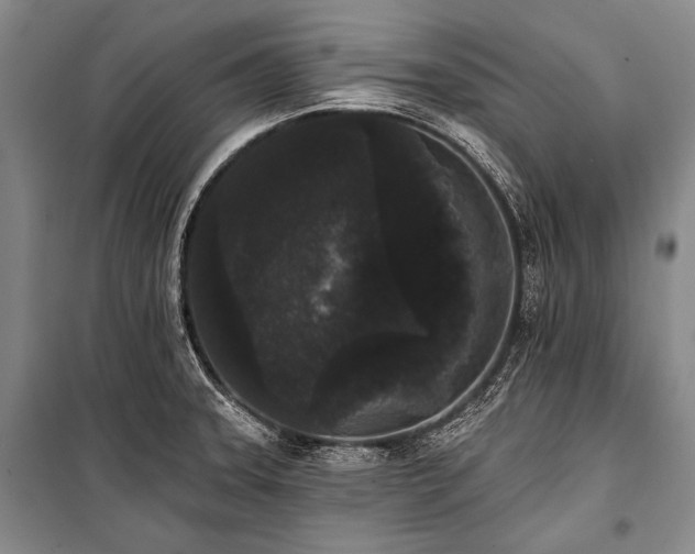 X0000101231331200806271502