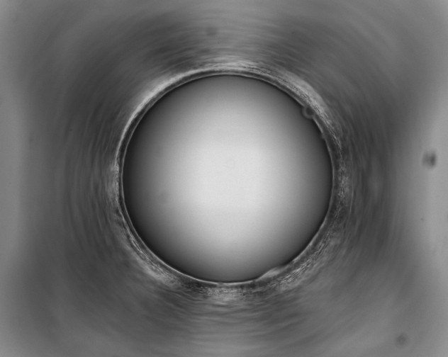 X0000101231332200806271502