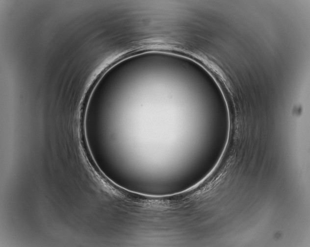 X0000101231333200806271502