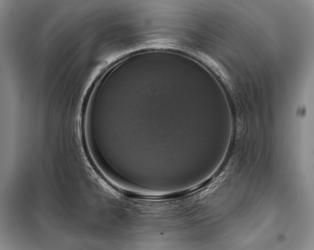 X0000101231334200806271502