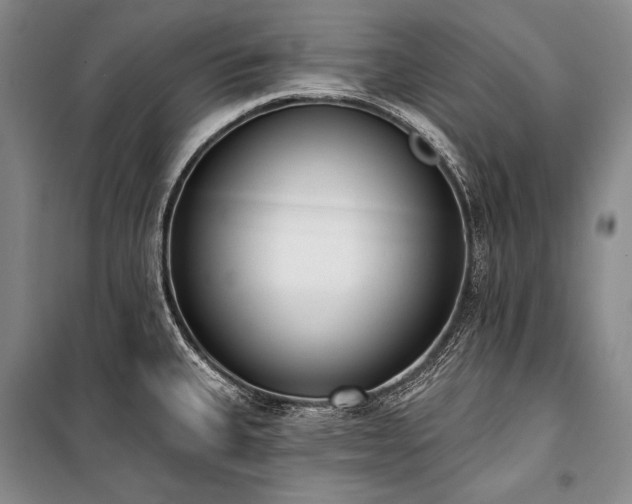 X0000101231335200806271502