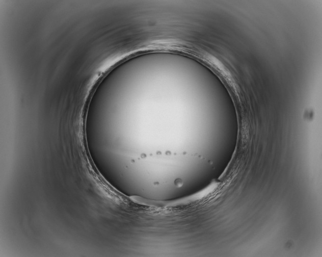 X0000101231336200806271502