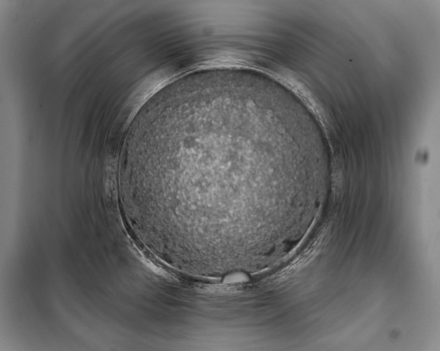 X0000101231337200806271502
