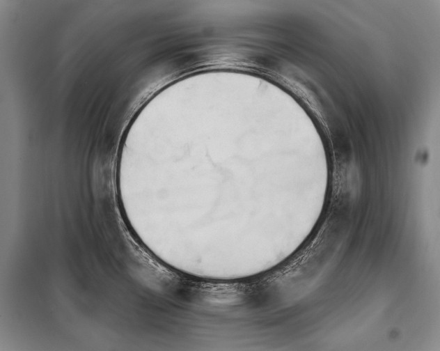 X0000101231338200806271502