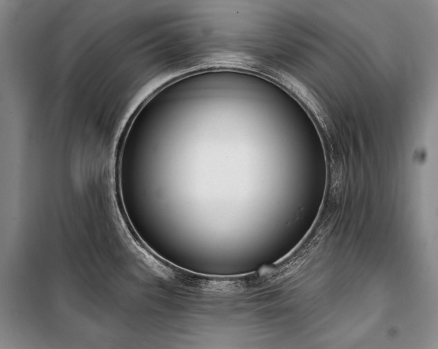 X0000101231339200806271502