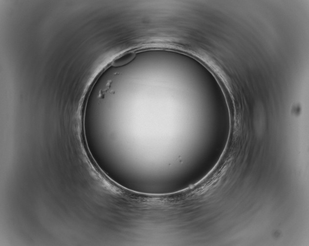 X0000101231341200806271502