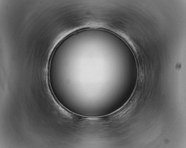 X0000101231343200806271502