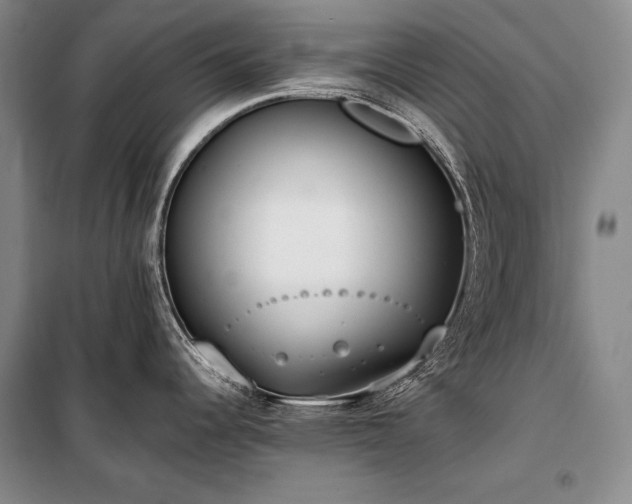 X0000101231344200806271502
