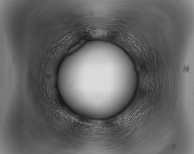 X0000101231345200806271501
