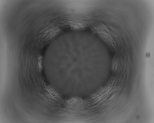X0000101231346200806271501
