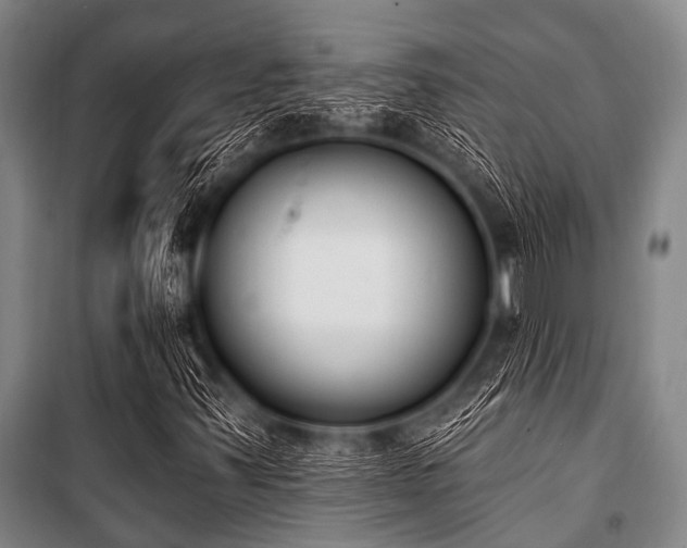 X0000101231347200806271501