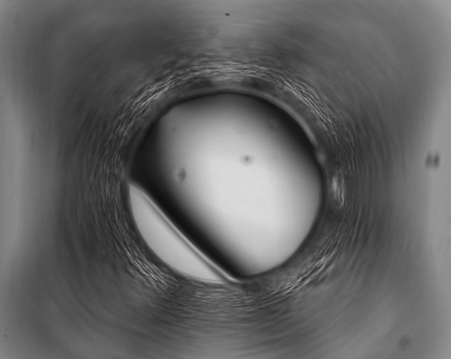 X0000101231348200806271501
