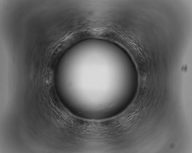 X0000101231349200806271501