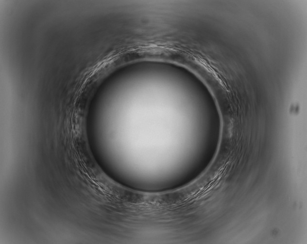 X0000101231350200806271501