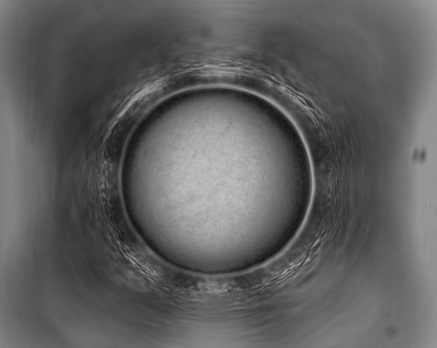X0000101231351200806271501