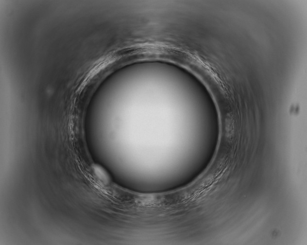 X0000101231352200806271501