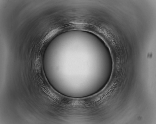 X0000101231354200806271501