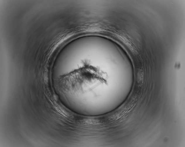 X0000101231356200806271501