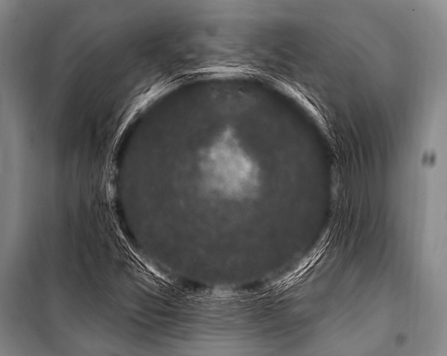 X0000101231357200806271501