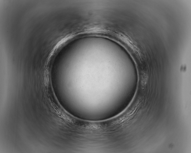 X0000101231358200806271501