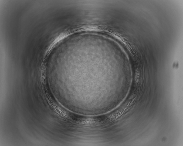 X0000101231359200806271501