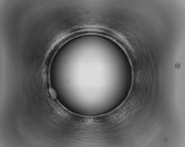 X0000101231360200806271501