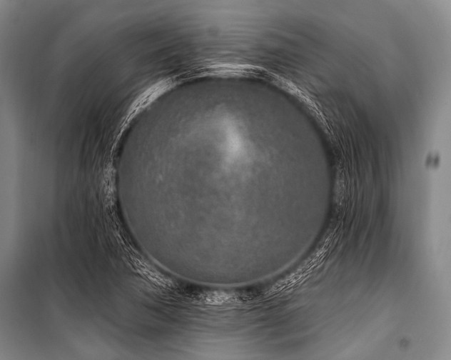 X0000101231362200806271501