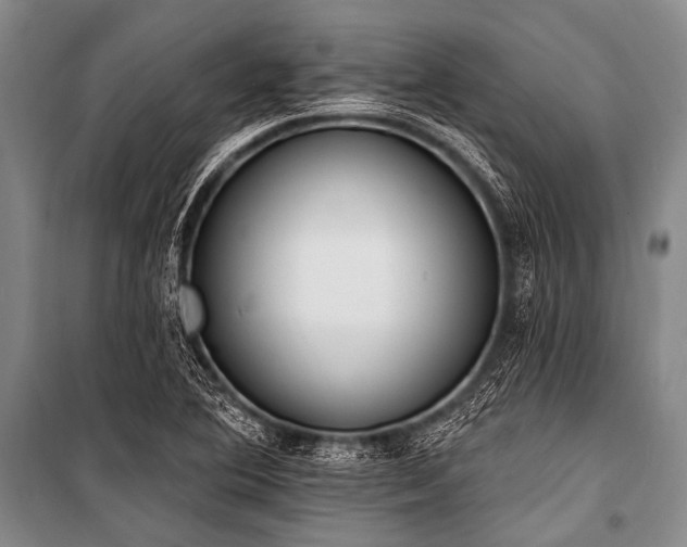 X0000101231364200806271501