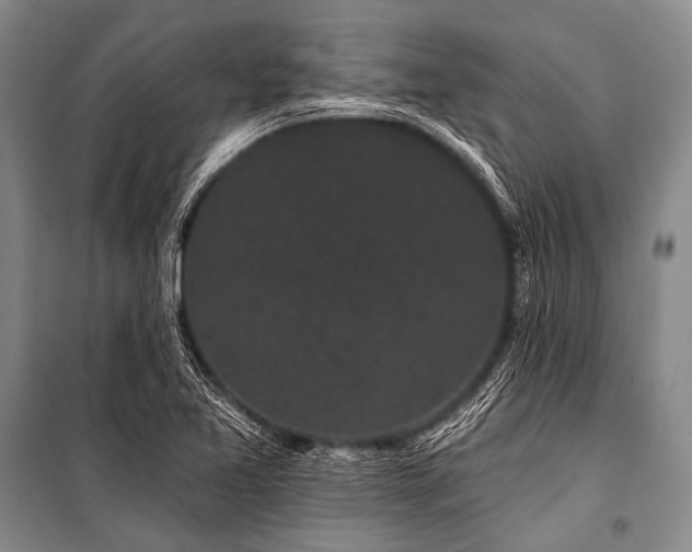 X0000101231365200806271501