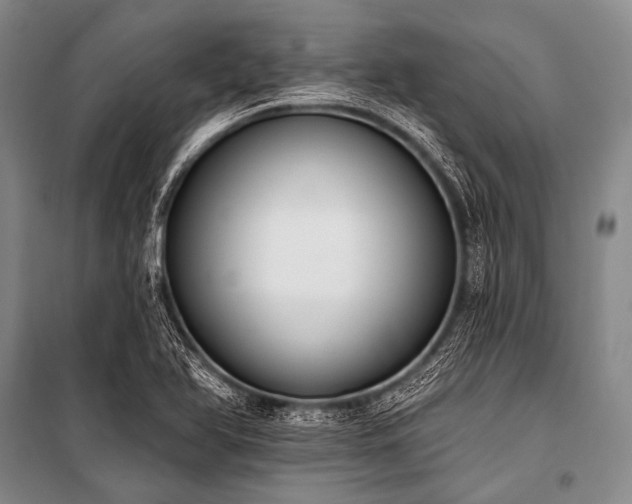 X0000101231366200806271501