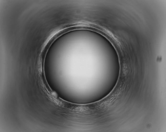X0000101231368200806271501