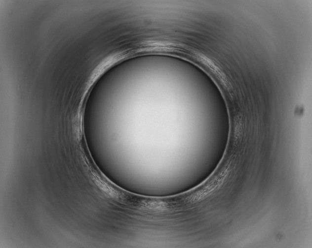 X0000101231370200806271501