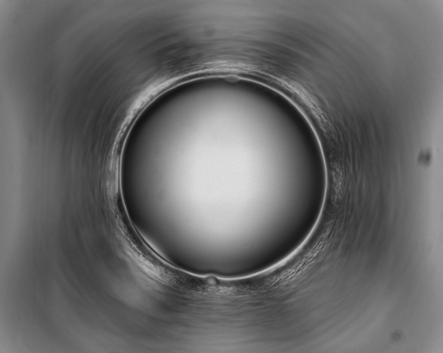 X0000101231371200806271501