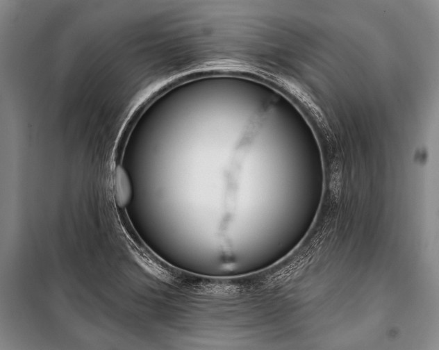 X0000101231372200806271501