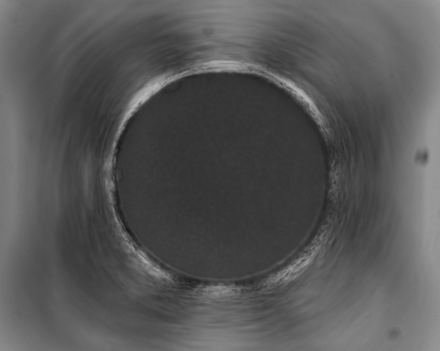 X0000101231373200806271501