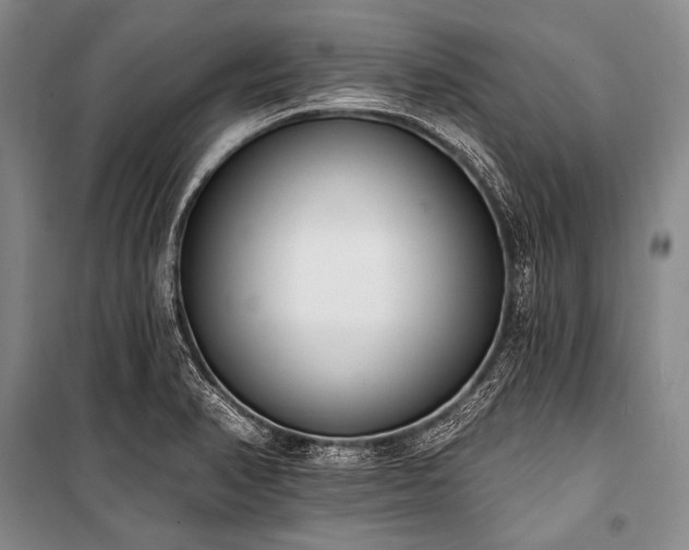 X0000101231374200806271501