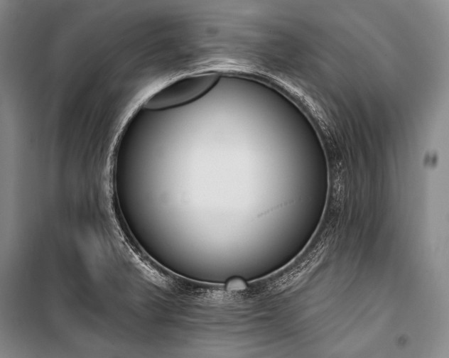 X0000101231375200806271501