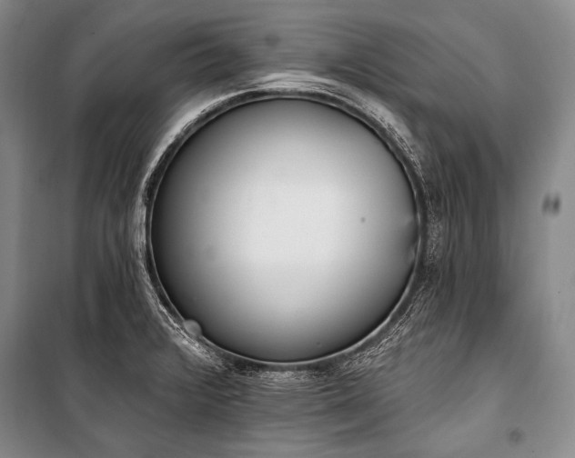 X0000101231376200806271501