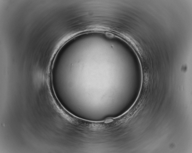 X0000101231379200806271501