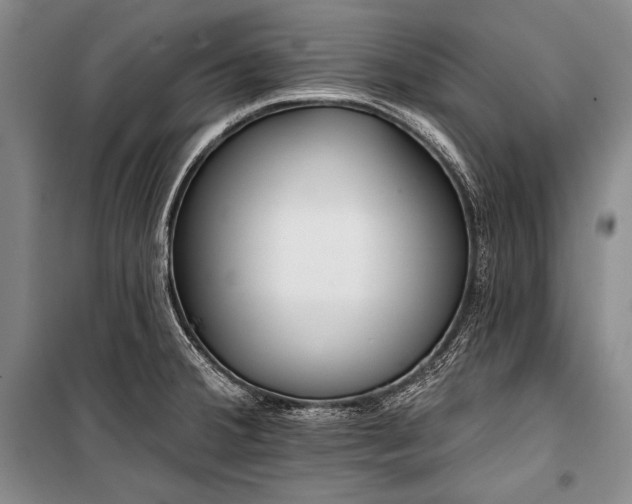 X0000101231380200806271501
