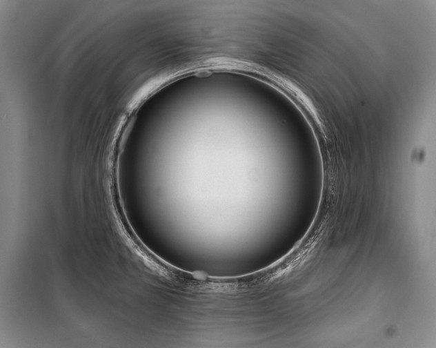 X0000101231381200806271501