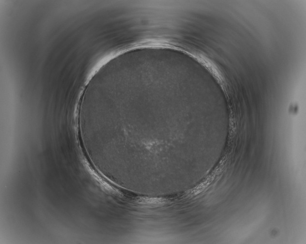 X0000101231382200806271501