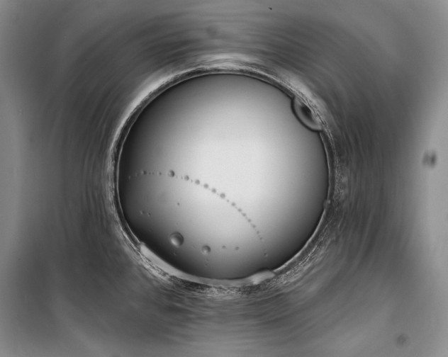 X0000101231384200806271501