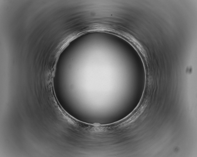 X0000101231385200806271501