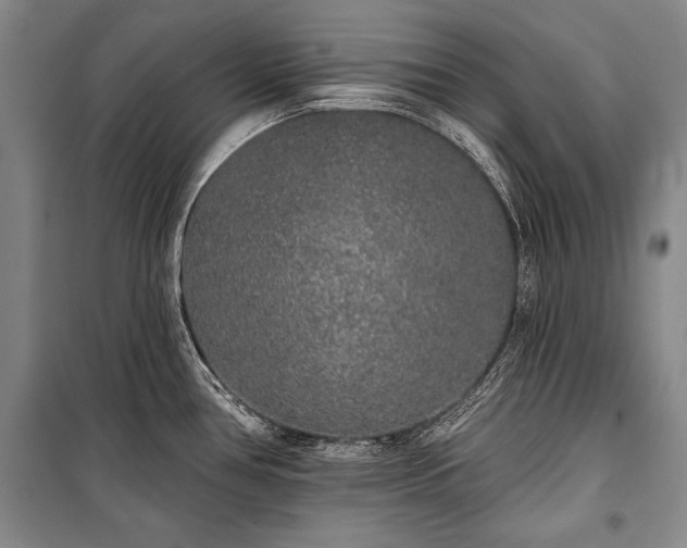 X0000101231386200806271501