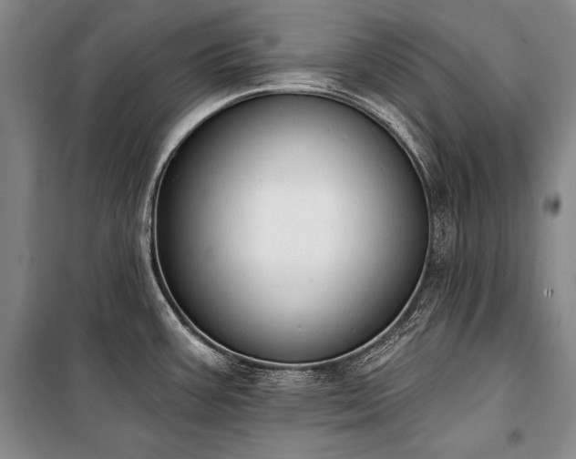 X0000101231387200806271501