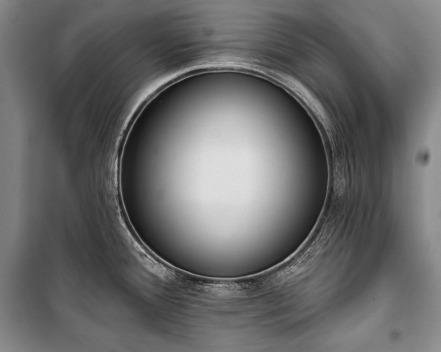 X0000101231388200806271501
